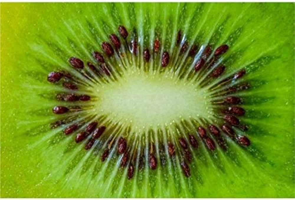 Kiwi Fruit Seeds